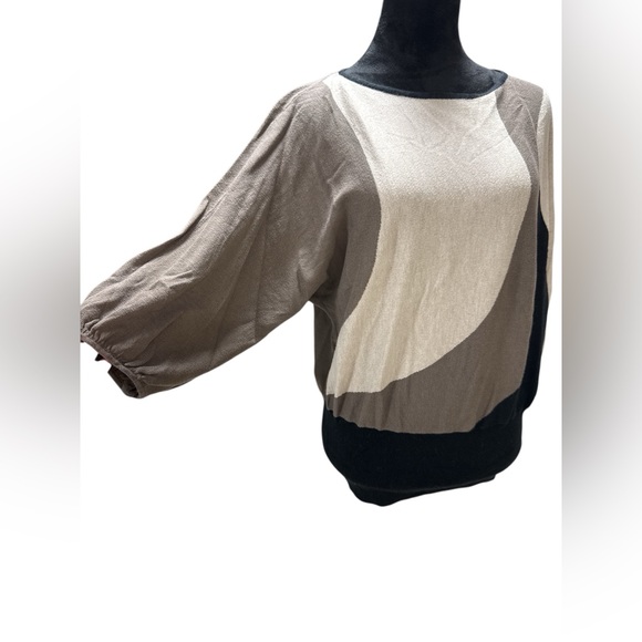 Style & Co Colorblock Batwing Sweater Large Neutral Earth Tone Dolman Knit - Picture 2 of 7